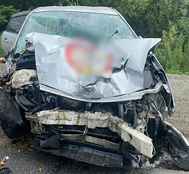 Пожилой пенсионер устроил страшное ДТП с тремя пострадавшими в Приморье