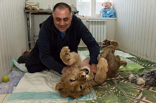 Челябинского зоозащитника выбрали Народным героем премии «Мой ласковый и нужный зверь»