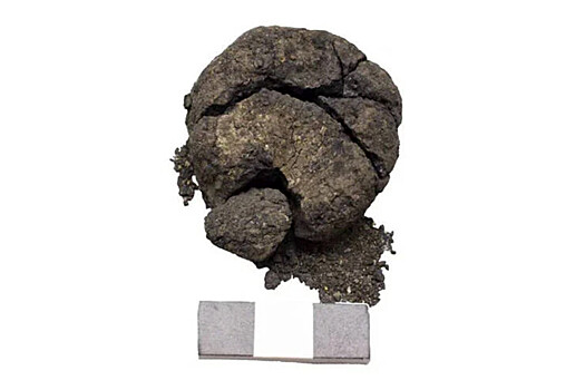 В Турции воссоздали рецепт хлеба 3000-летней давности