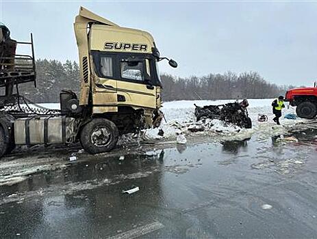 Два человека погибли при столкновении Lada Granta с грузовиком в Самарской области