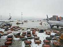 Названы самые востребованные направления из аэропорта Домодедово
