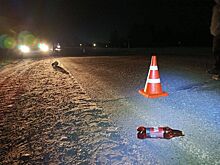 В Ижевске установили личность водителя, который насмерть сбил пешехода на Славянском шоссе