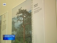 В Национальной музее республики открылась фотовыставка «Заповедная природа Башкортостана»