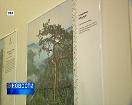 В Национальной музее республики открылась фотовыставка «Заповедная природа Башкортостана»