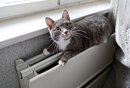 Перед сильными морозами омские ТЭЦ обещают включить резервные котлы