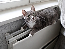 Жители Амурского поселка в Омске жалуются, что в их квартирах исчезло отопление после взрыва в Ростовке