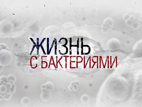 Фильм телеканала "Наука" стал победителем премии "Лавр"