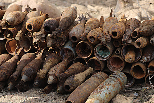 С начала года саперы ЗВО обезвредили более 100 боеприпасов времен Великой Отечественной войны