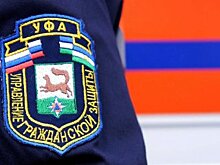 13 автомобилей получили повреждения из-за падения деревьев и схода снега в Уфе