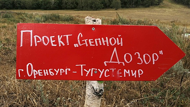 Юнармейцы Оренбурга устанавливают указатели для заблудившихся в лесу