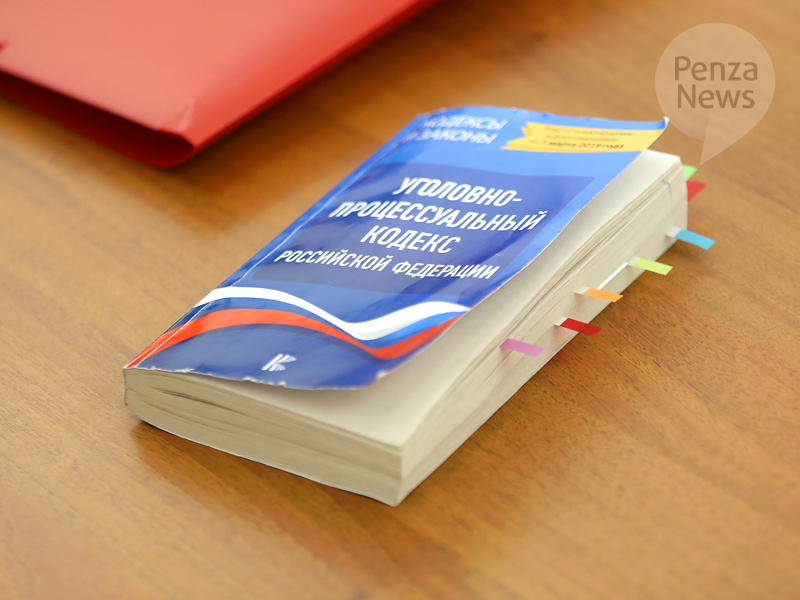 В Пензенской области молодого мужчину будут судить за неправомерный доступ к компьютерной информации и мошенничество