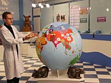 «Оазис счастливой жизни». Экскурсовод из Мышкина стал «Лучшим гидом России»