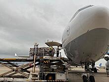 Lufthansa Cargo может вернуться на рынок ближнемагистральных грузоперевозок