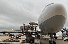 Lufthansa Cargo может вернуться на рынок ближнемагистральных грузоперевозок