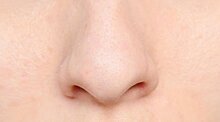 Ученые рассказали все о ринопластике носа