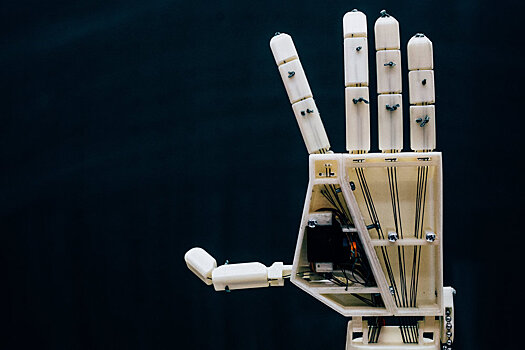 Разработчики назвали стоимость роборуки, говорящей на языке жестов
