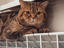 Власти Новокузнецка опубликовали график включения отопления