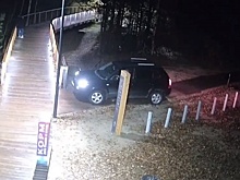 Пьяный пожилой водитель прокатился по борскому парку «Моховые горы»