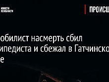 Автомобилист насмерть сбил велосипедиста и сбежал в Гатчинском районе