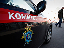Подозреваемый признал вину и рассказал подробности убийства отца Легойды