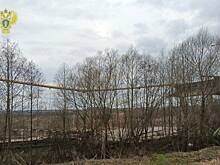 Прокуратура организовала проверку по факту обрушения моста в Смоленской области