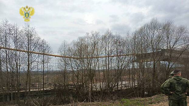 Прокуратура организовала проверку по факту обрушения моста в Смоленской области