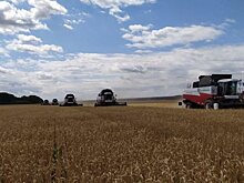 Уборку урожая в Башкортостане ведут 4 тысячи комбайнов