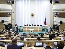 В Совфеде высмеяли обращение Германии к Китаю