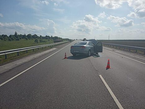 Легковушка протаранила рейсовый автобус на трассе М3 «Украина»