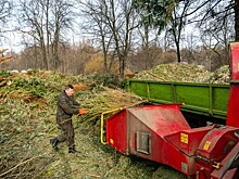 40 тыс. новогодних деревьев сдали москвичи на переработку
