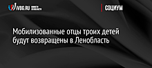 Мобилизованные отцы троих детей будут возвращены в Ленобласть