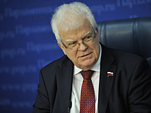 Владимир Чижов: Сейчас НАТО находится в сложном положении