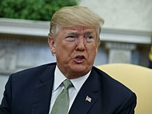 NBC: Трамп присутствовал при обсуждении Коэном вопросов, связанных с выплатами экс-модели