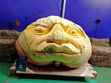 В "Аптекарском огороде" самые большие тыквы превратили в скульптурные композиции