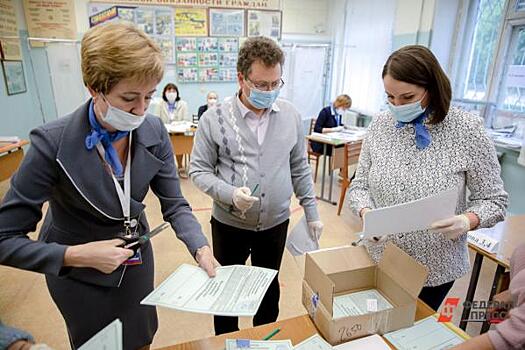 В Новосибирской области досрочно проголосовали 0,2 процента избирателей