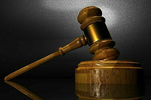 Замглавы департамента Минприроды отправлен под арест до 10 января