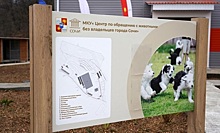 В Сочи открыли первый в Краснодарском крае муниципальный приют для бездомных животных