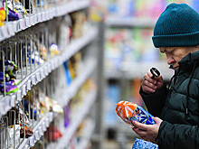 Удивившие Путина продукты подорожали сильнее инфляции