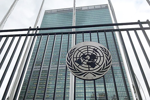 Лавров: Только развивающиеся страны могут быть новыми членами Совбеза ООН