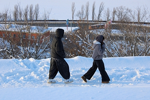 Глава петербургского МВД призвал занять подростков делом