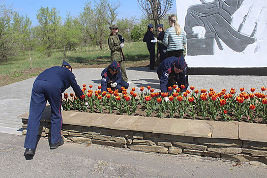 На Дону юные кадеты навели порядок на &laquo;Высоте Бессмертия&raquo; в рамках акции &laquo;Дон помнит&raquo;