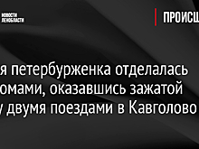 Пьяная петербурженка отделалась переломами, оказавшись зажатой между двумя поездами в Кавголово