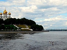 Росприроднадзору поручено предотвратить дальнейшее загрязнение Волги
