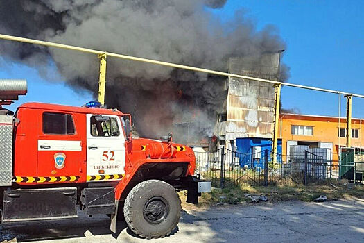 Минтранс: в&nbsp;Белгородской агломерации сократили рейсы общественного транспорта