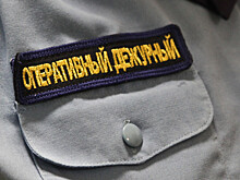 В Всеволожске задержаны несовершеннолетние братья за серию нападений на магазины