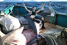 Рыбаки сфотографировались с акулами-людоедами и лишились сотен тысяч рублей