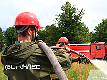 В преддверии пожароопасного сезона 2018 года в филиалах «Оборонлес» начались проверки готовности сил и средств