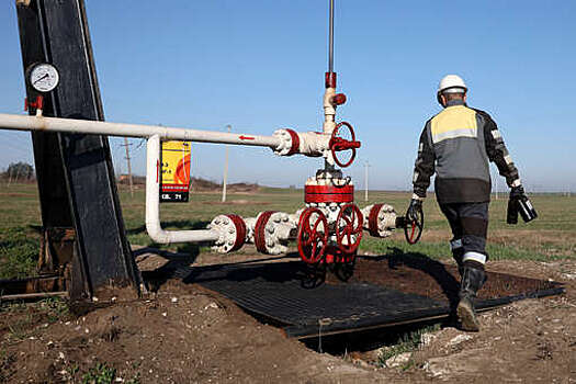 Страны Персидского залива поддержали решение о сокращении добычи нефти