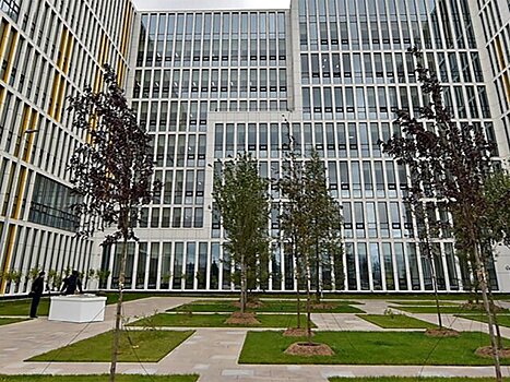 Бочкарёв: на территории больницы в Коммунарке строят корпус лучевой терапии
