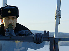 Какие киноновинки уже можно посмотреть в Сети